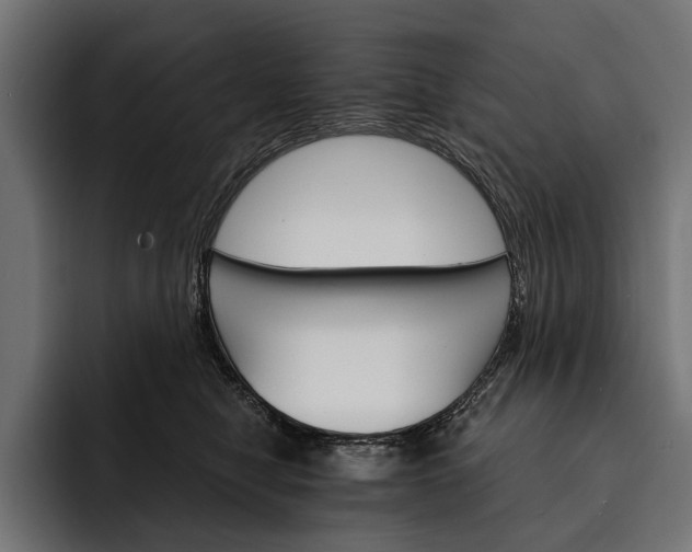 X0000093110470200710101025