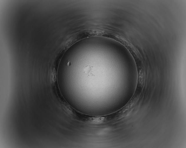 X0000093110474200710101025