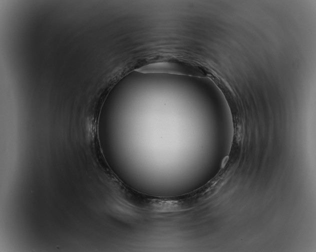 X0000093110476200710101025