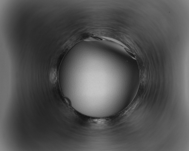 X0000093110478200710101025