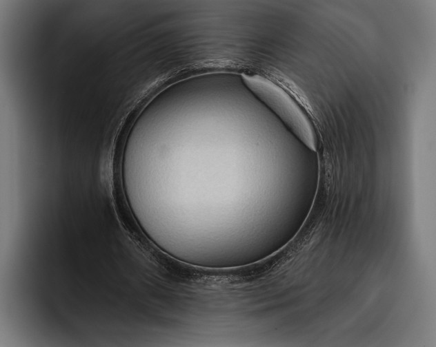 X0000093110482200710101024