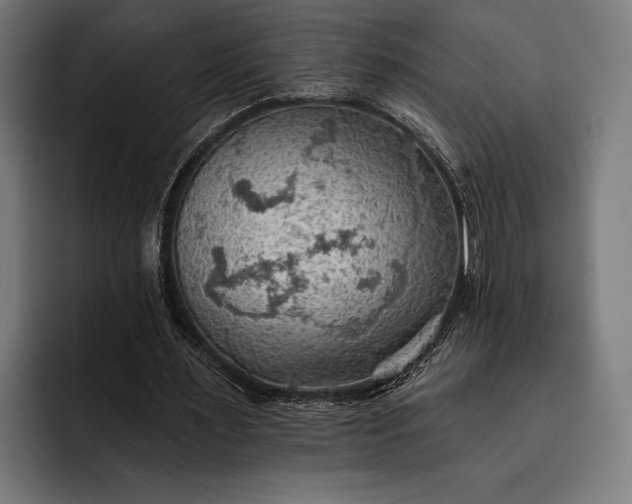 X0000093110483200710101024