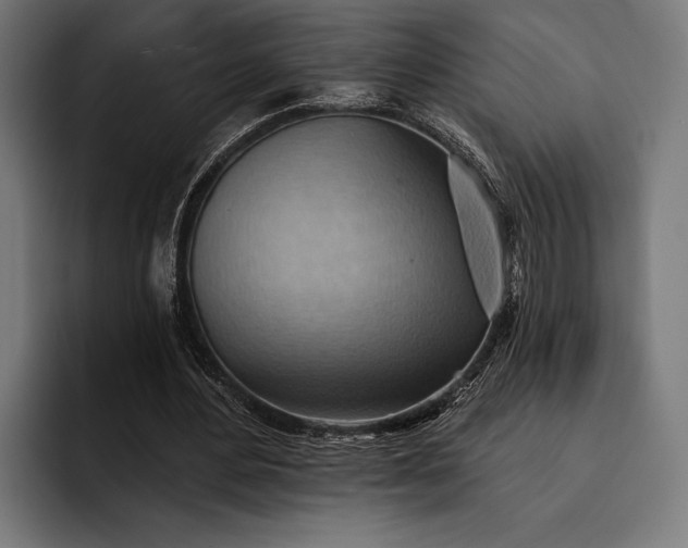 X0000093110484200710101024