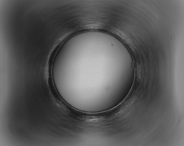 X0000093110486200710101024