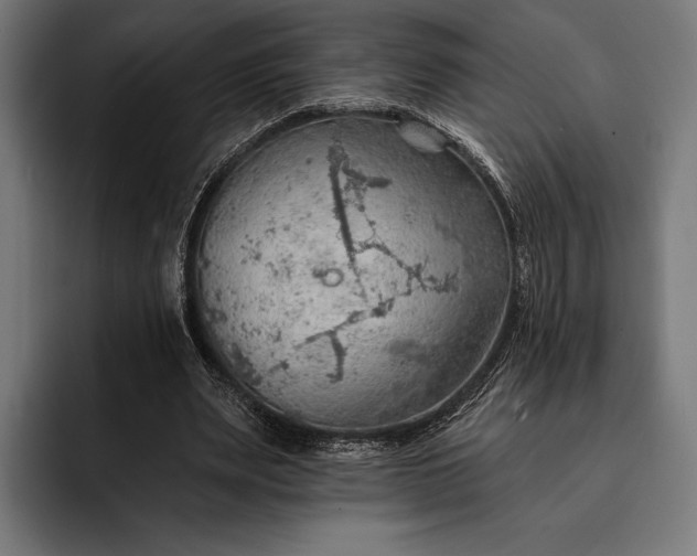 X0000093110487200710101024