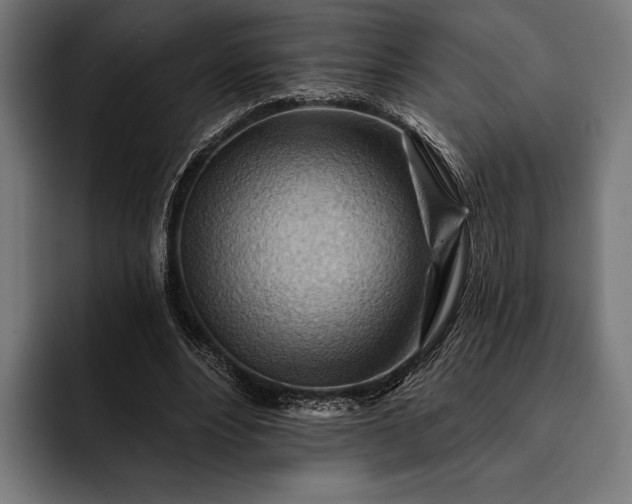 X0000093110488200710101024