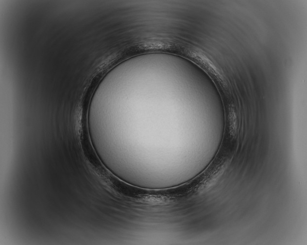 X0000093110490200710101024