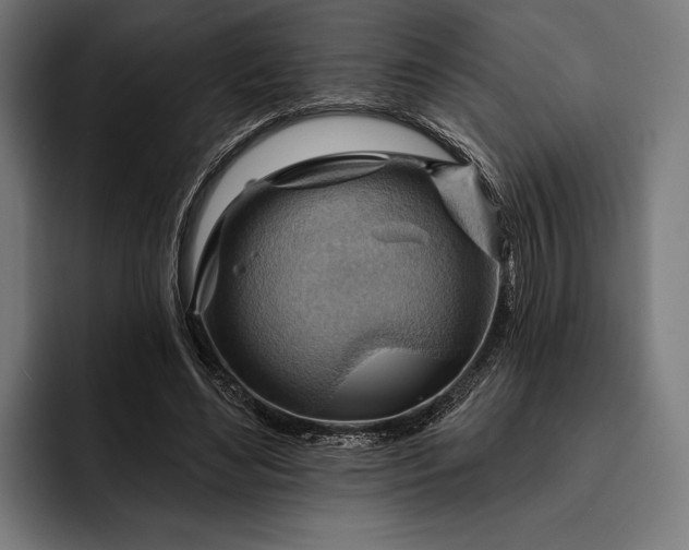 X0000093110492200710101024