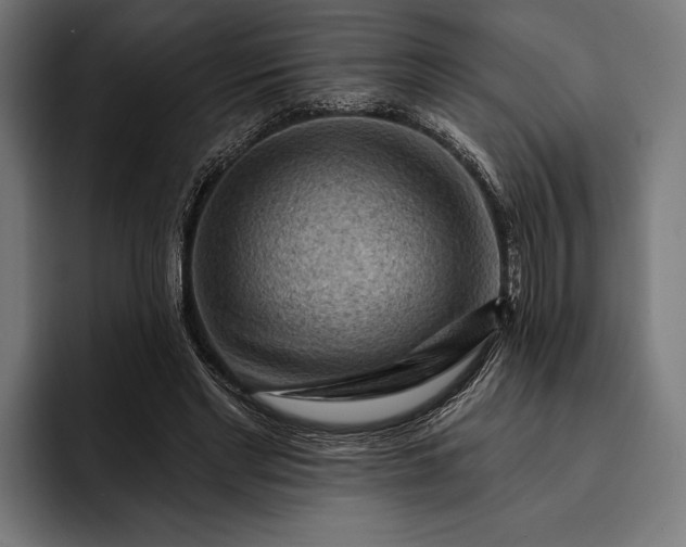 X0000093110493200710101024