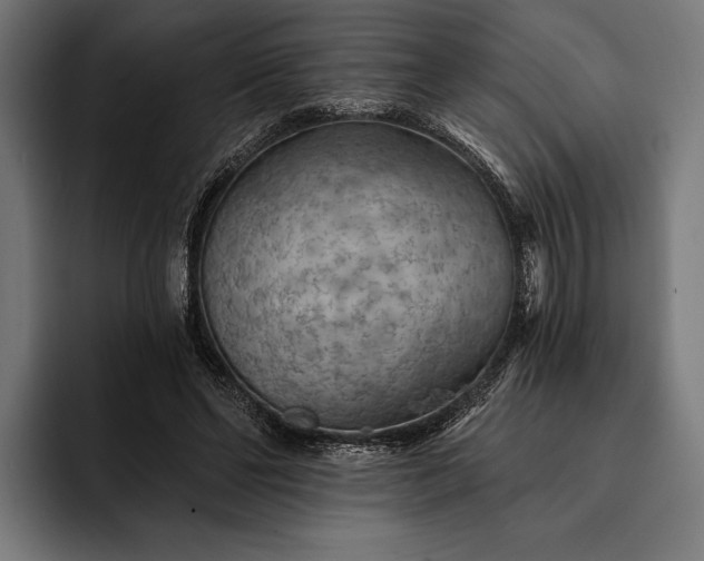 X0000093110494200710101024