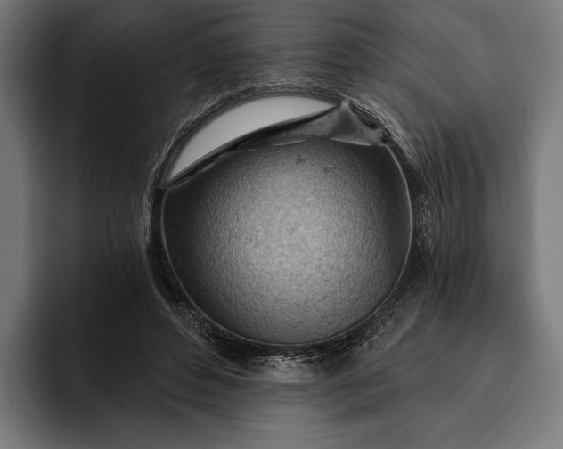 X0000093110496200710101024