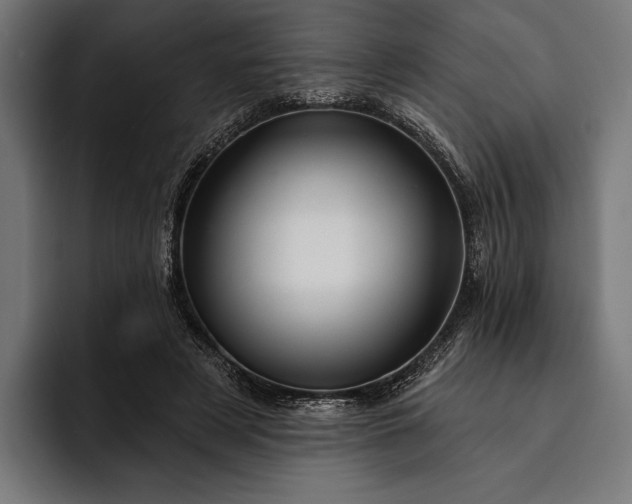 X0000093110497200710101024