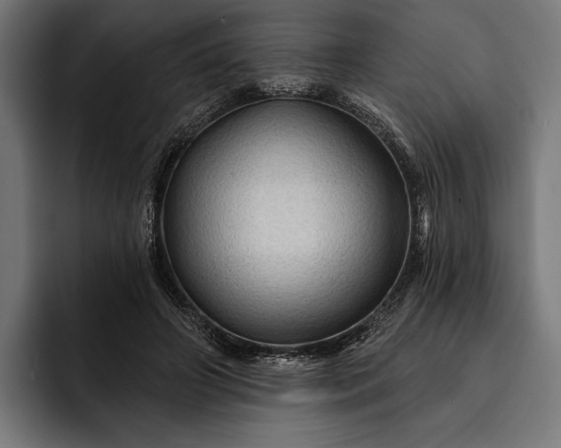 X0000093110498200710101024