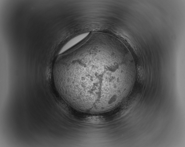 X0000093110499200710101024