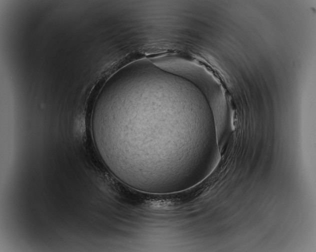 X0000093110500200710101024