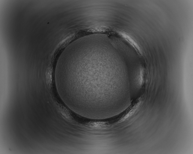 X0000093110501200710101024