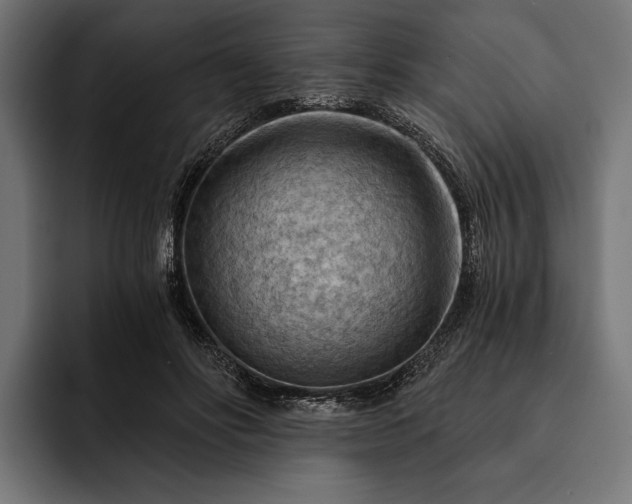 X0000093110502200710101024