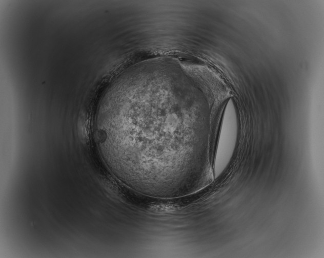 X0000093110503200710101024