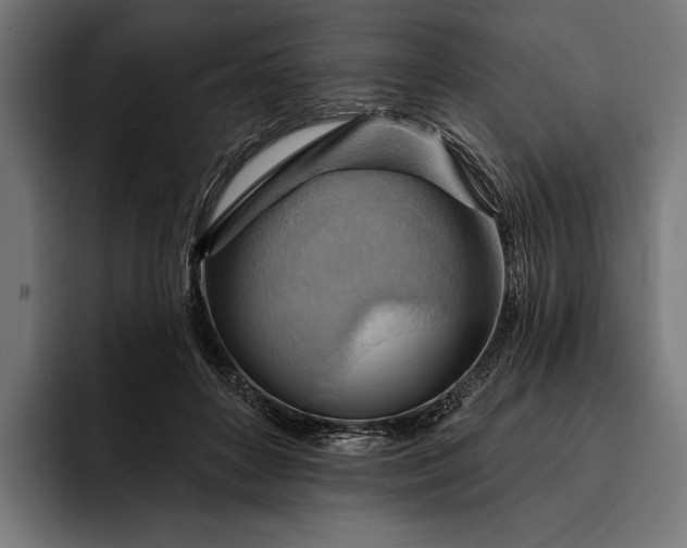 X0000093110504200710101024