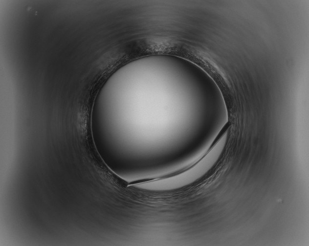 X0000093110505200710101024