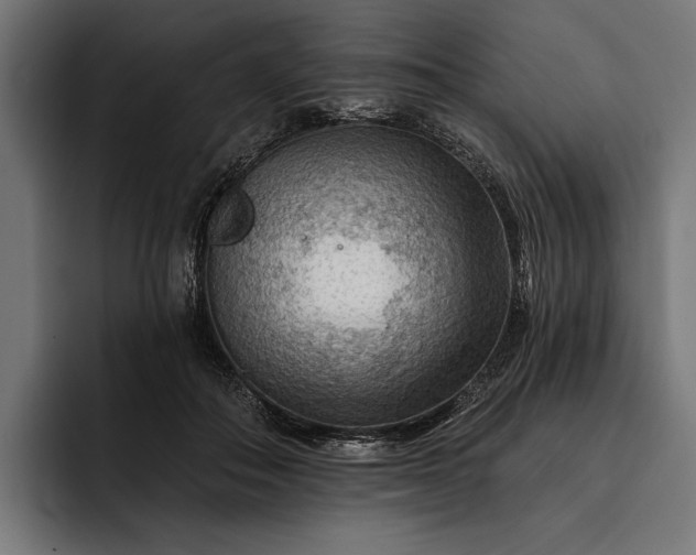 X0000093110506200710101024