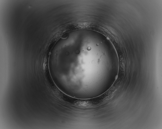 X0000093110507200710101024