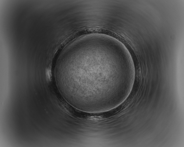 X0000093110508200710101024