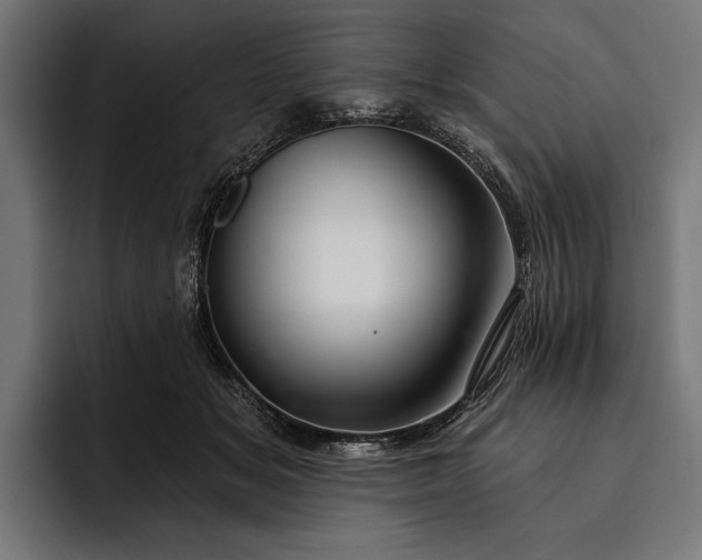 X0000093110509200710101024