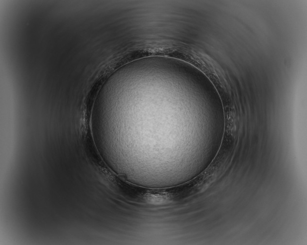 X0000093110510200710101024