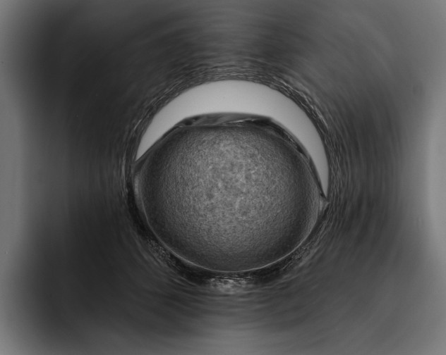 X0000093110512200710101024