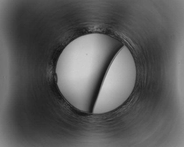 X0000093110513200710101024