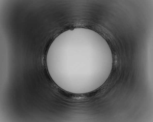 X0000093110514200710101024