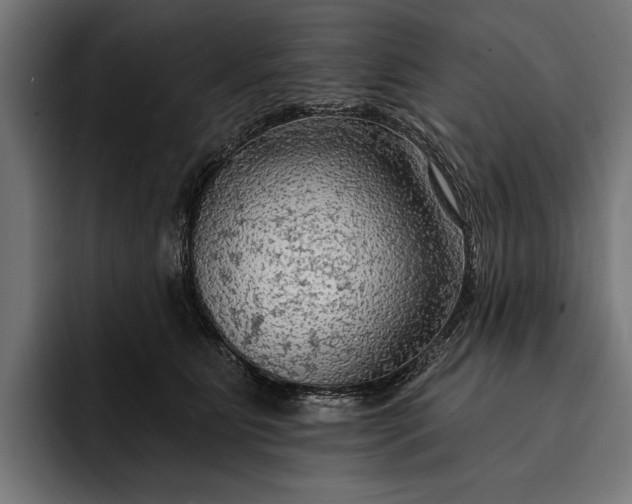 X0000093110515200710101024