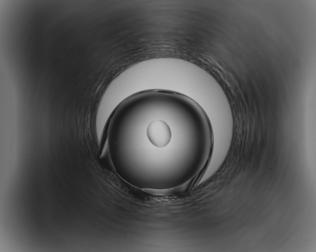 X0000093110516200710101024