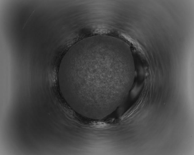 X0000093110517200710101024