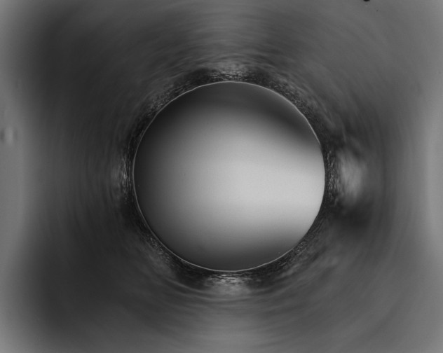 X0000093110518200710101024