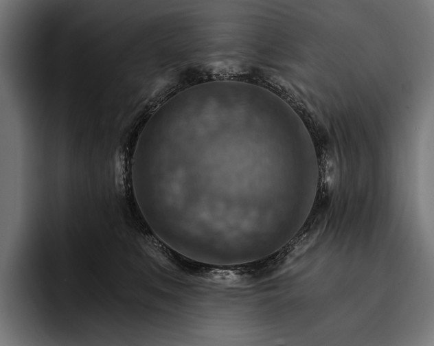 X0000093110519200710101024