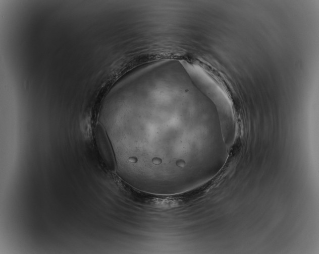 X0000093110520200710101024