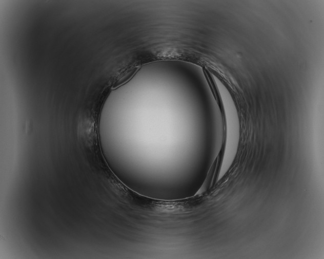 X0000093110521200710101024