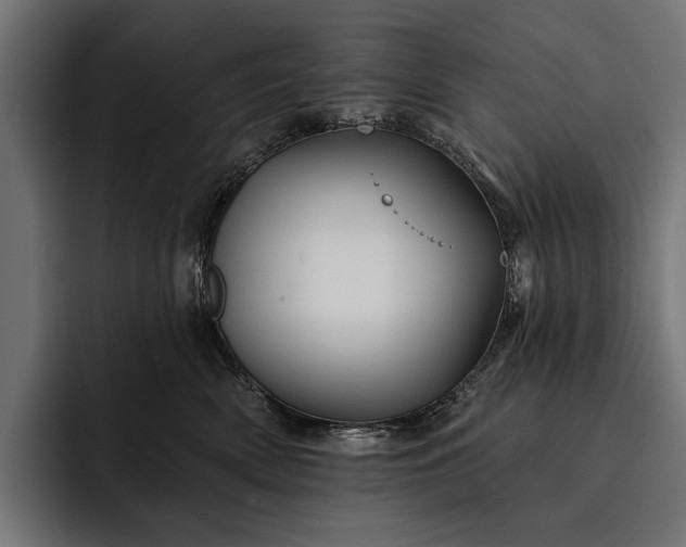 X0000093110522200710101024