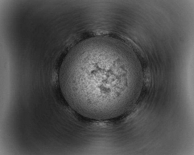 X0000093110523200710101024