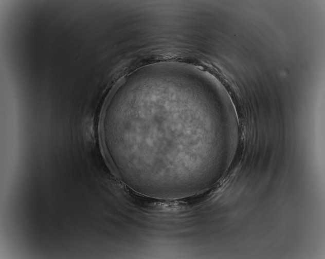 X0000093110524200710101024