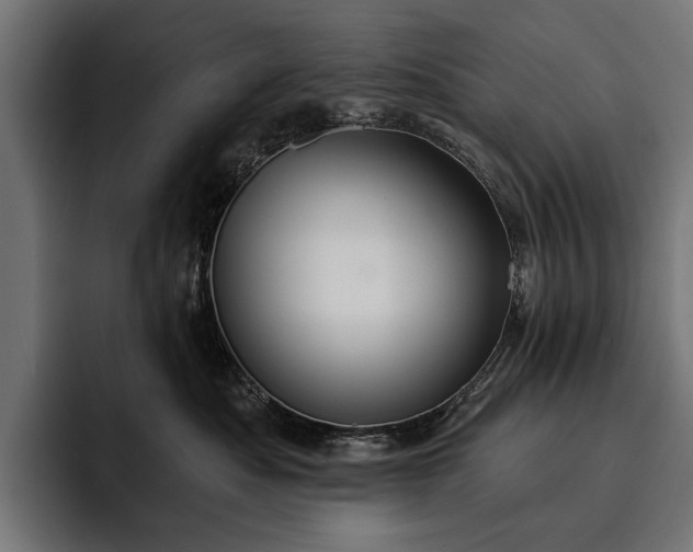 X0000093110525200710101024