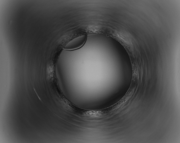 X0000093110526200710101024