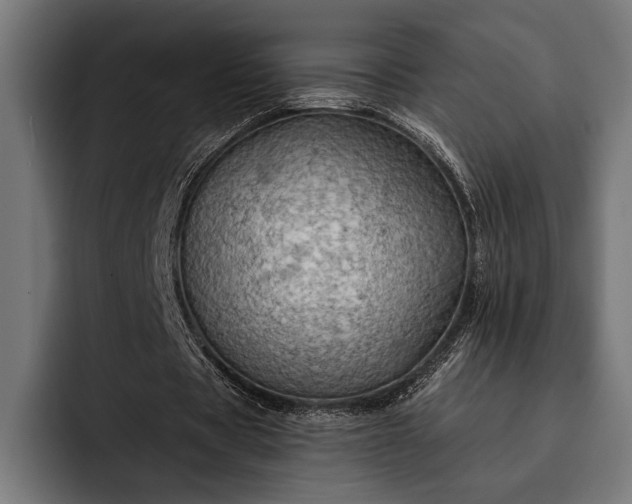 X0000093110529200710101023