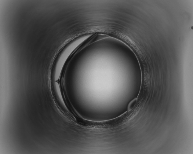 X0000093110530200710101023