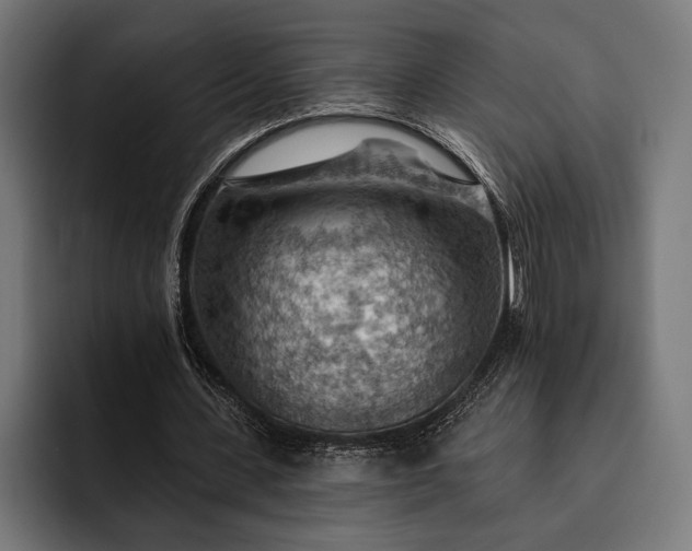 X0000093110531200710101023