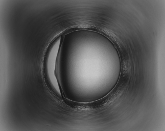 X0000093110535200710101023