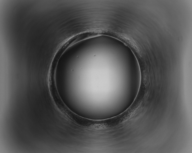 X0000093110536200710101023