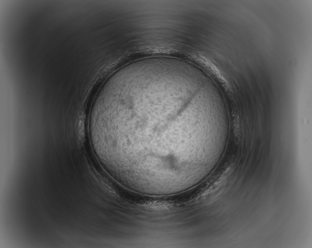 X0000093110537200710101023